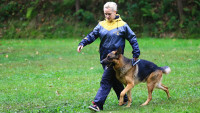 kynolog 1 IMG 4785